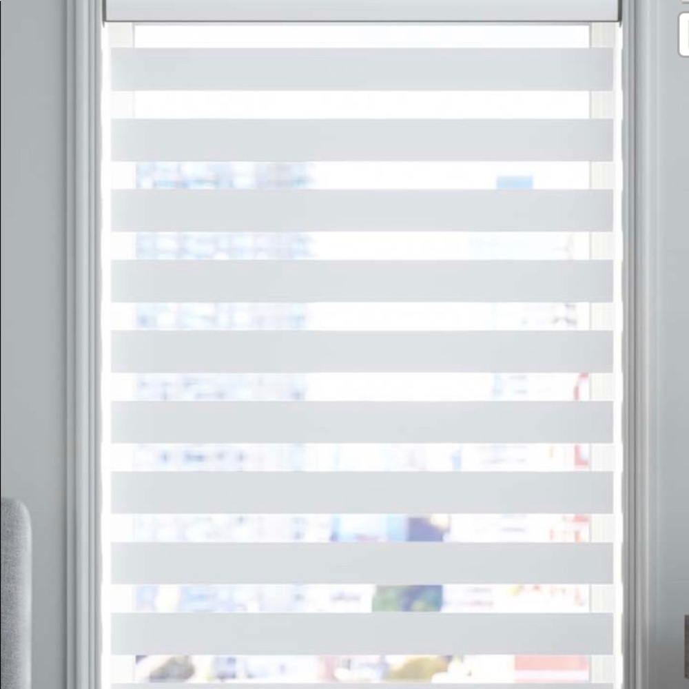 Premier light filtering dual roller shade